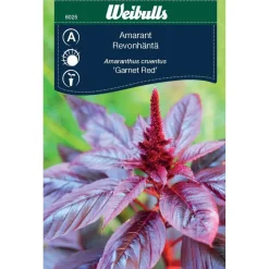 Amarantti Weibulls 'Garnet Red' siemenet