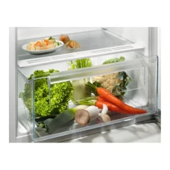 Jääkaappi Electrolux Series 500 l,RB3AE12S 500, 54.8cm, 208l, valkoinen