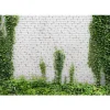 Kuvatapetti Artgeist Creeping ivy, tiiliseinä, eri kokoja
