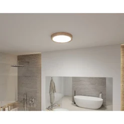 LED-kattovalaisin Paulmann Tega, IP44, 1200lm, 22.5W, säädettävä värilämpötila, eri värejä