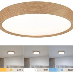 LED-kattovalaisin Paulmann Tega, IP44, 1200lm, 22.5W, säädettävä värilämpötila, eri värejä