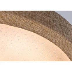 LED-paneeli Paulmann Cosara, IP44, Ø30cm, 15W, 3000K, eri värejä