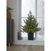 LED-valaistu joulukuusi Star Trading Greyland, 95cm, vihreä