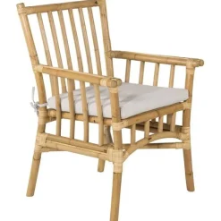 Lepotuoli Venture Home Cane, ruskea/harmaa