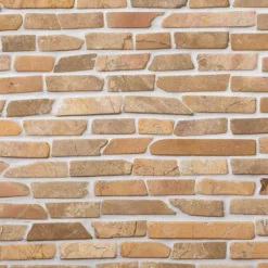 Marmorimosaiikki Qualitystone Stick Mustard, verkolla, 10 mm x vapaa mitta