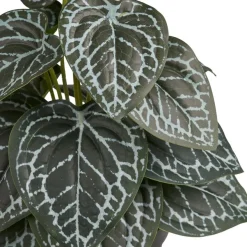 Tekokasvi House Nordic Alocasia, 33cm, vihreä