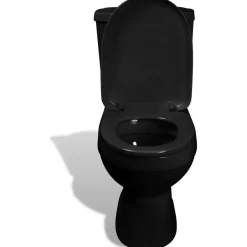 WC-istuin vesisäiliöllä musta